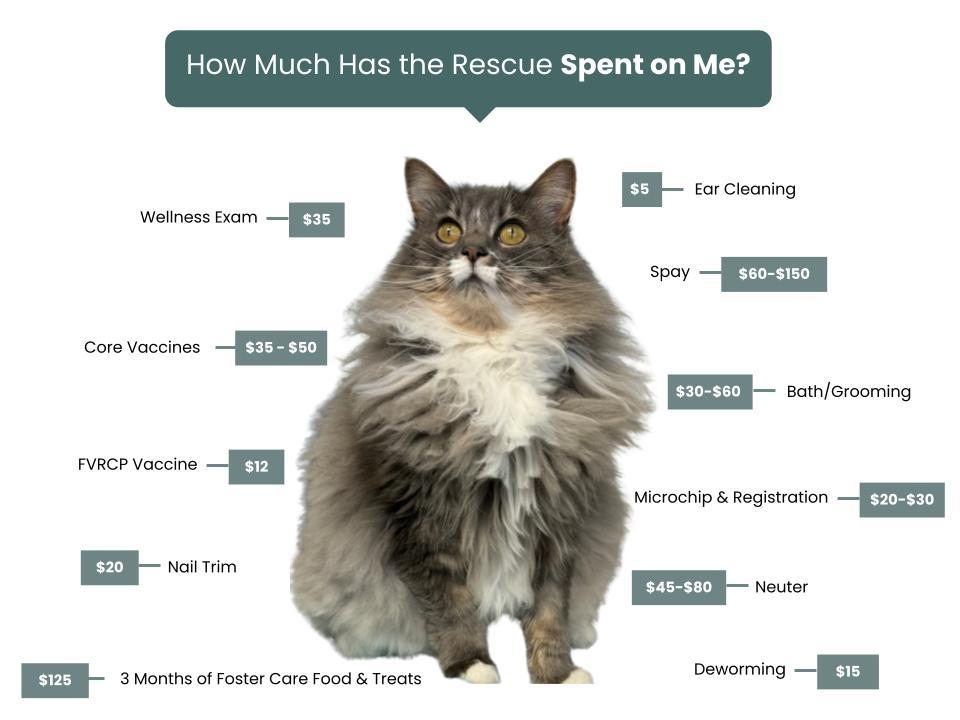 Beaverhead Animal Shelter Fee Graphic